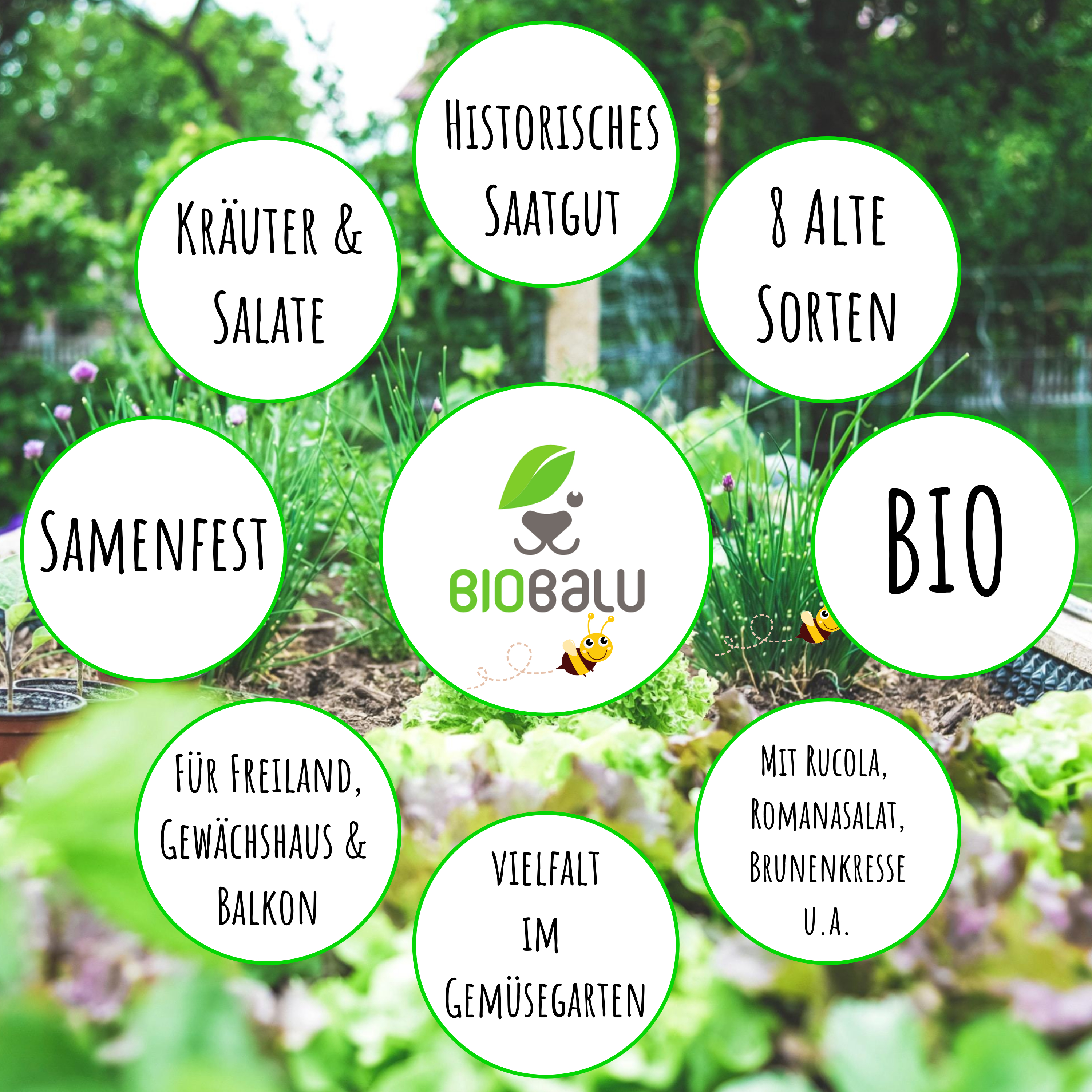 Biobalu Kräuter & Salat, 8 Alte Sorten, Historisches Saatgut Set